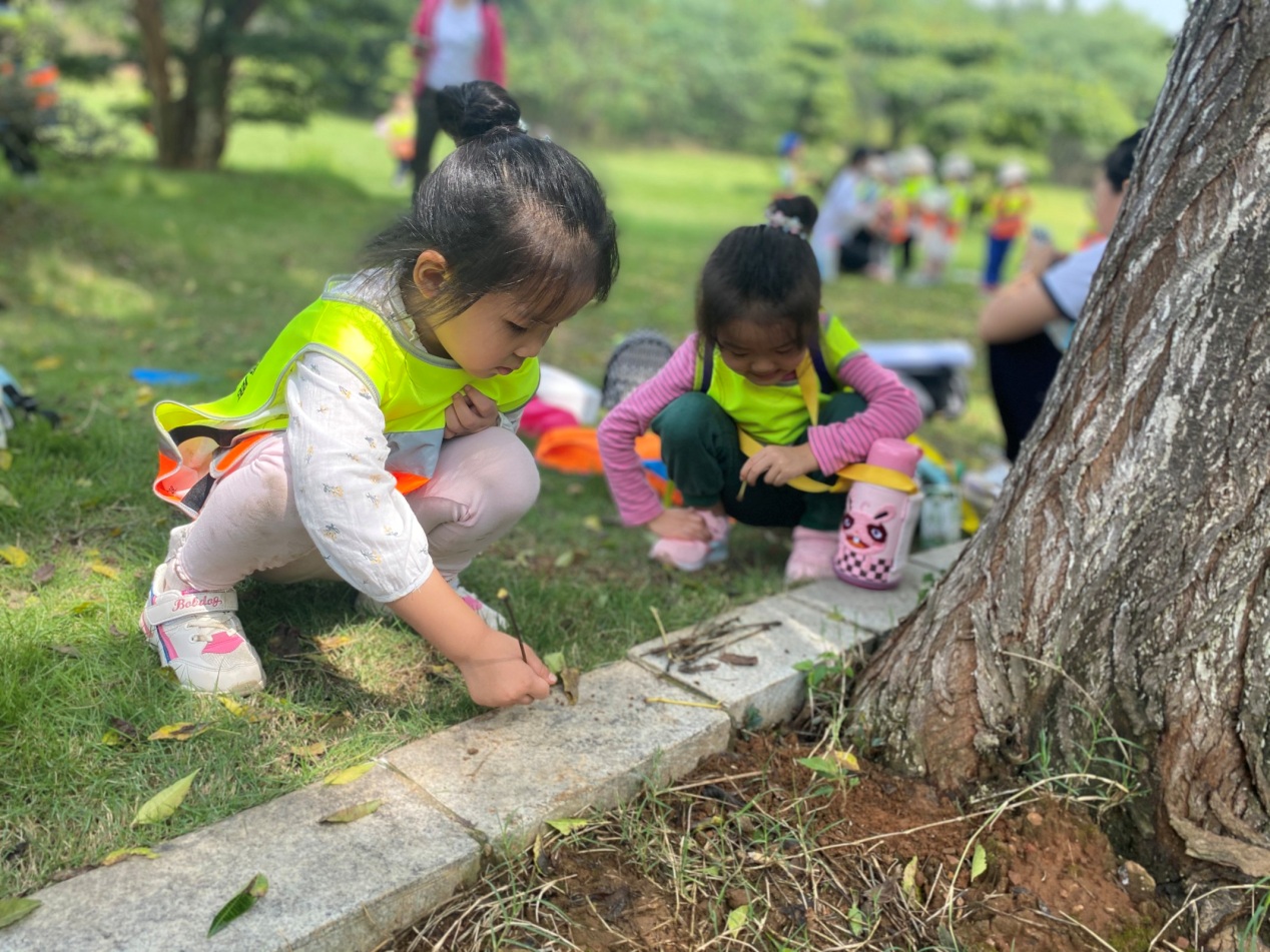 Bwin必赢国际·(中国)唯一官方网站