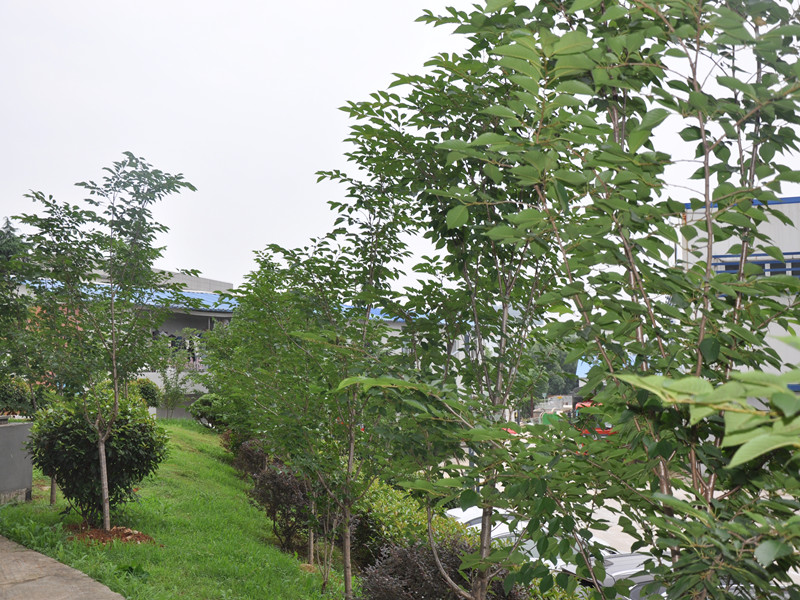 Bwin必赢国际·(中国)唯一官方网站