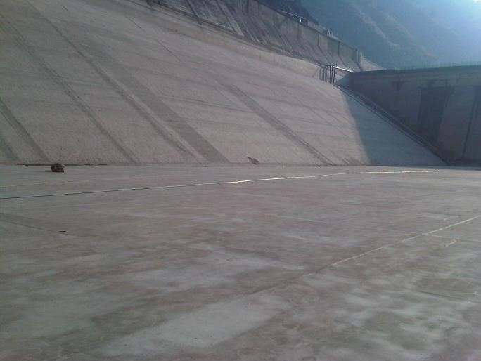 Bwin必赢国际·(中国)唯一官方网站