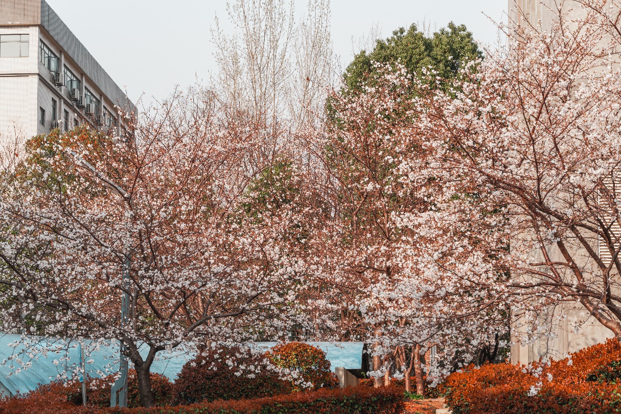 Bwin必赢国际·(中国)唯一官方网站