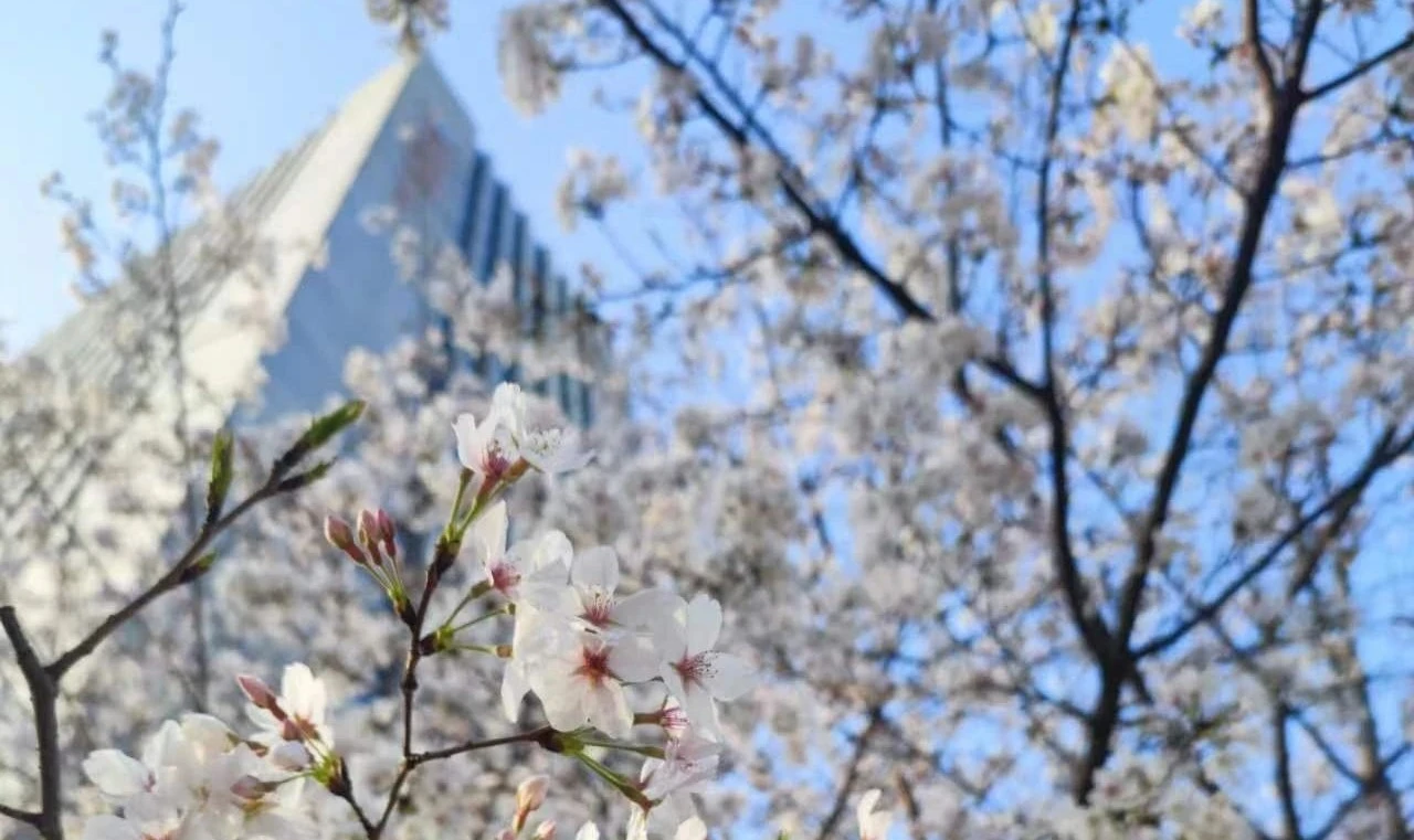 Bwin必赢国际·(中国)唯一官方网站